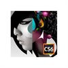 Adobe Creative Suite 6 Design Standard - version / product upgrade license 65163368AA01A00